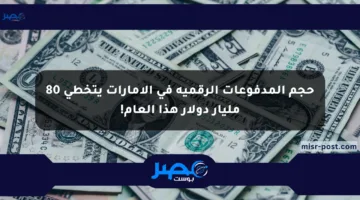 حجم المدفوعات الرقمية في الإمارات يتخطى 80 مليار دولار هذا العام!